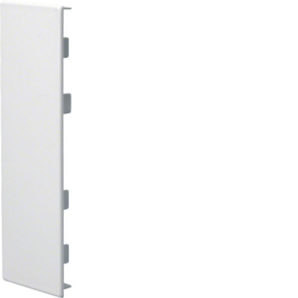 L 2543 White 9010 End cap image 1