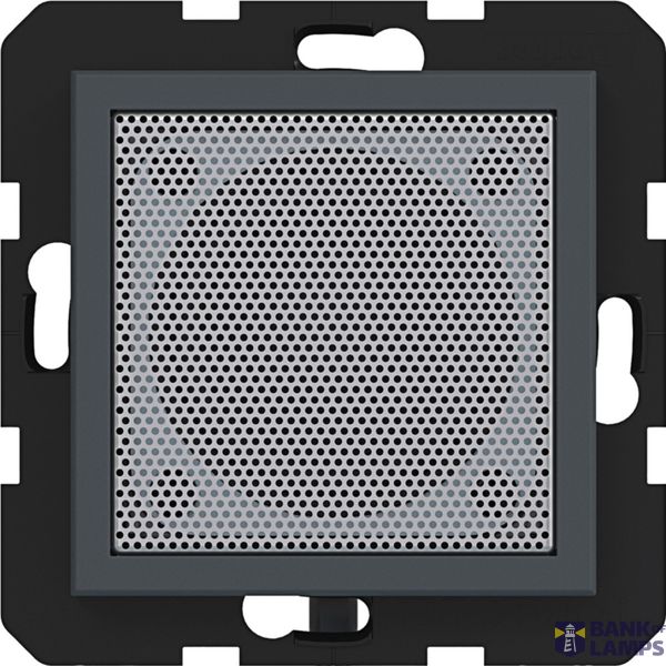 Loudspeaker for radio touch, A.x/C.x, anthracite image 1