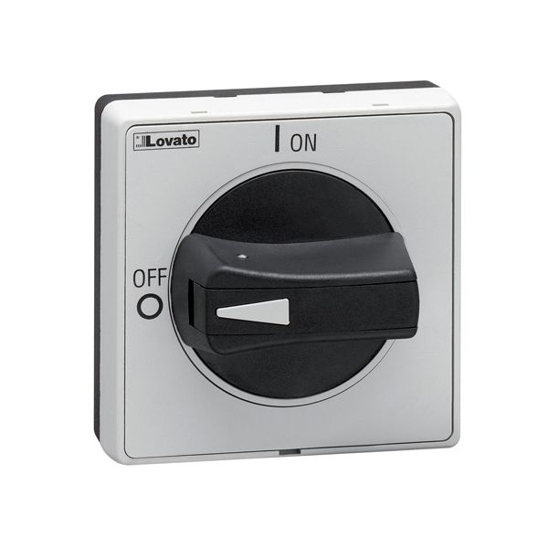 Door-coupling handle, padlockable. Black, rotating, for GA...A, GA063SA, GA...C and GA...D, screw fixing. Protruding selector. 5mm/0.2”. IEC IP65/UL type 4X image 1
