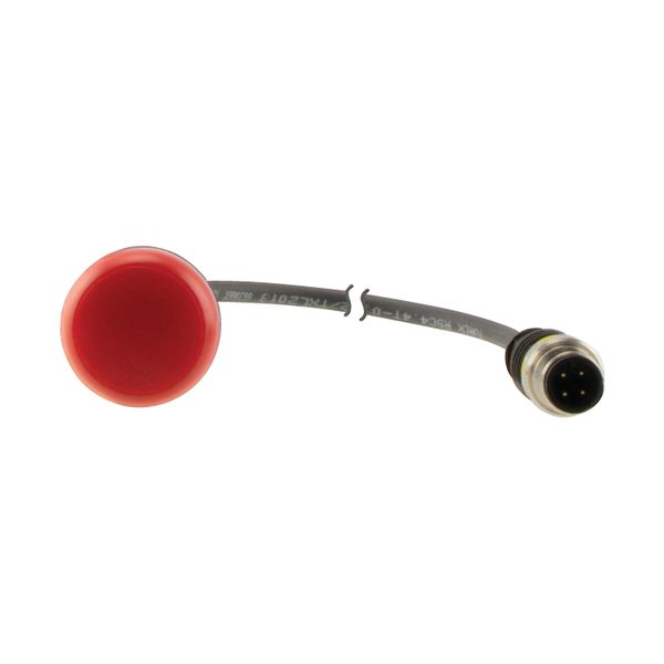 C22-L-R-24-P3 Indicator light, Flat, Cable (black) with M12A plug, 4 pole, 0.5 m, Lens Red, LED Red, 24 V AC/DC image 14