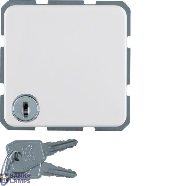 WCD RA with hinged cover and key lock, IP44 flush mount, polar white image 1