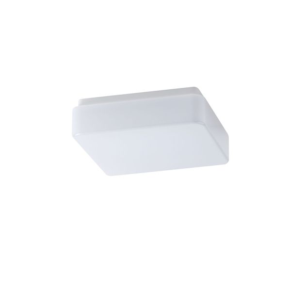 TILIA 1A LED-1L31C03NU1/PC31 DALI 4000 image 1