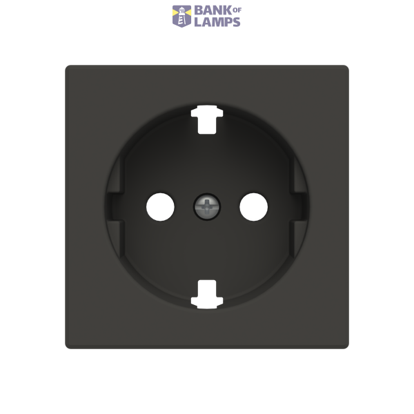 Cover Schuko socket plane image 1