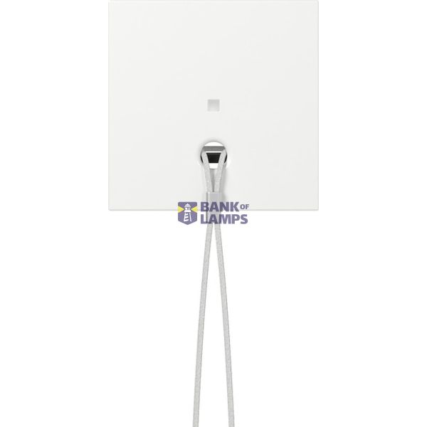cov. ctrl.win.  pull-cord btn System 55 p.white image 1