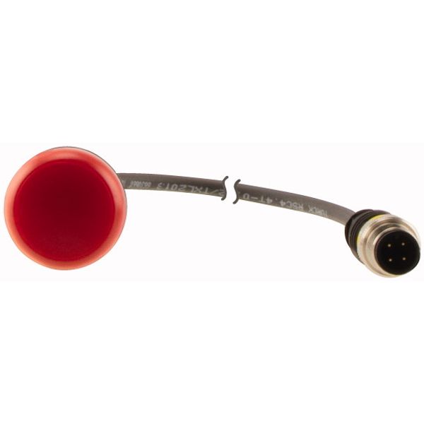 C22-L-R-24-P3 Indicator light, Flat, Cable (black) with M12A plug, 4 pole, 0.5 m, Lens Red, LED Red, 24 V AC/DC image 2