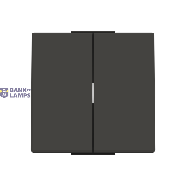 Rocker 2 gang switch/push image 1