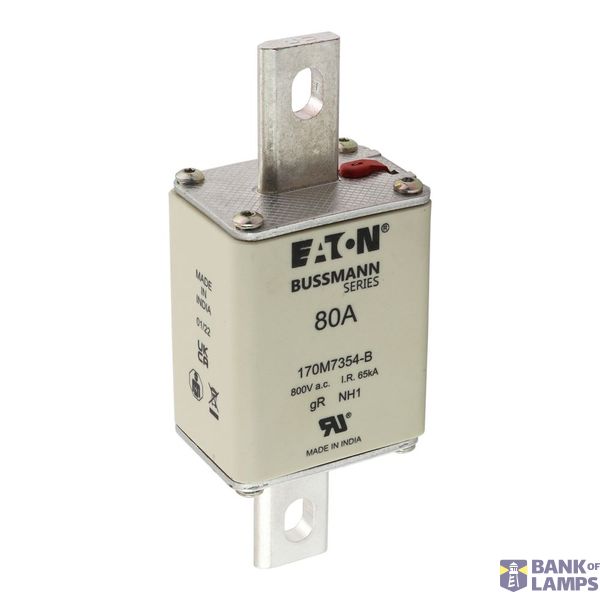 FUSE 80A 800V AC gR SIZE 1 BOLTED TAG DI image 14