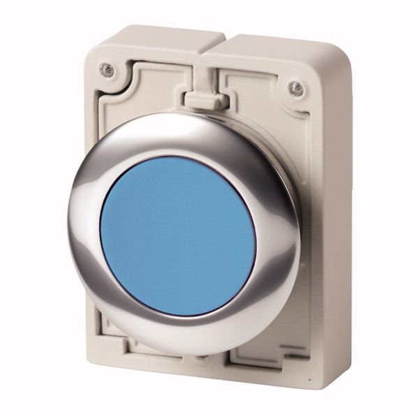M30C-FDR-B Pushbutton, RMQ-Titan, Flat, maintained, Blue, Blank, Metal bezel image 1