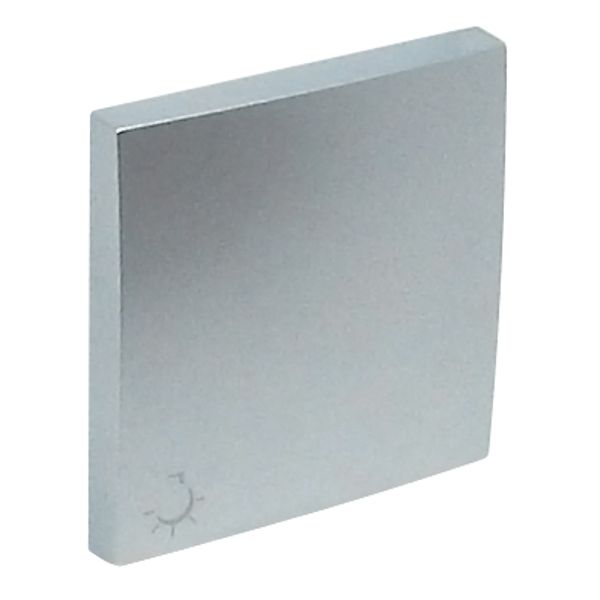 ROCKER F/SWITCHES W/LAMP SYMBOL ALUMINIUM image 2