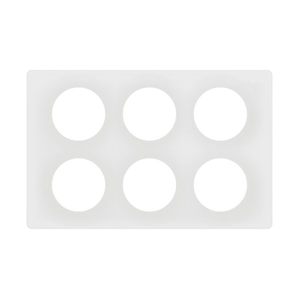 PLATE 2X3 GANG ENAMELLED WHITE image 3