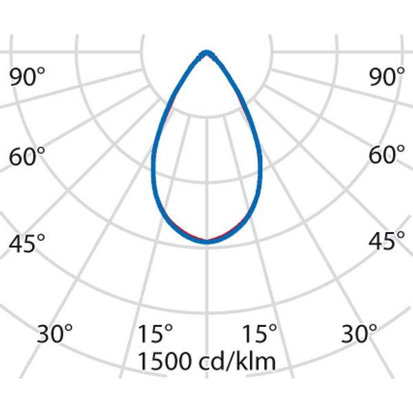 TYK+ 20 46 C/IW 927 ANTHRACITE DALI image 5