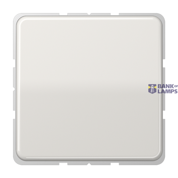 SCHUKO socket, 16 A 250 V ~, without claws, hinged cover, thermoplastic, CD series, light grey image 1