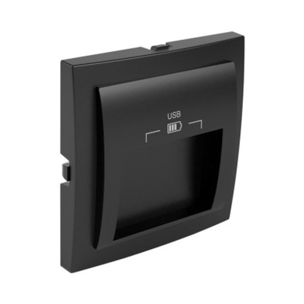 C PLATE DOUB USB CHARG TYPE A 20° OUTPUT BK image 1