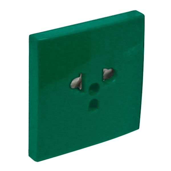 SAF C.PLATE F/EARTH SOCKET (EURO-USA) GREEN image 2