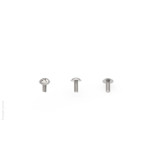 DOUBLE SLOTTED LARGE BOW HEAD SCREW D0Y13L06X20N image 1