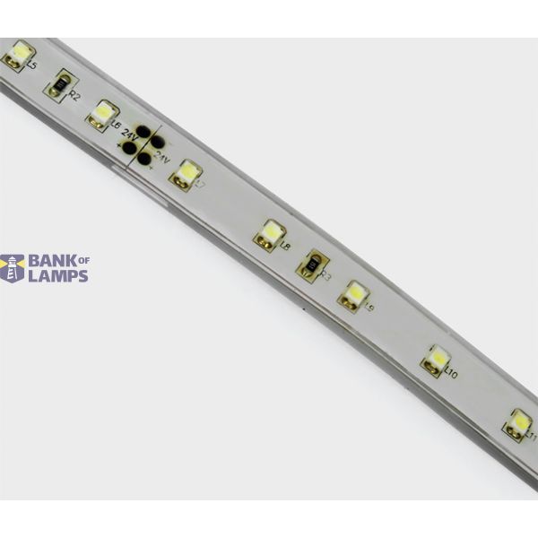LED strip 24vDC BLUE OUTDOOR 5m ROLL 4,8w/m IP68 image 1