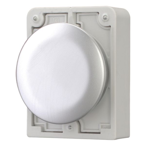 M30C-FB Blanking plug, Metal bezel image 4