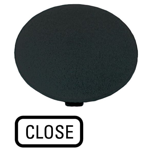 M22-XDP-S-GB2 Button plate, mushroom black, CLOSE image 1