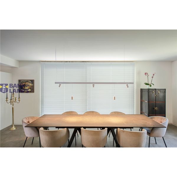 NUMINOS® XS 48V TRACK DALI, spot, white / white, 8.7W, 650lm, 2700K, CRI90, 40° image 4