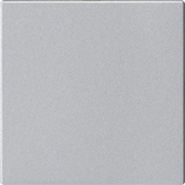 Blindabdeckung 810826 o.Tragrauing Sys 55 F Alu image 1