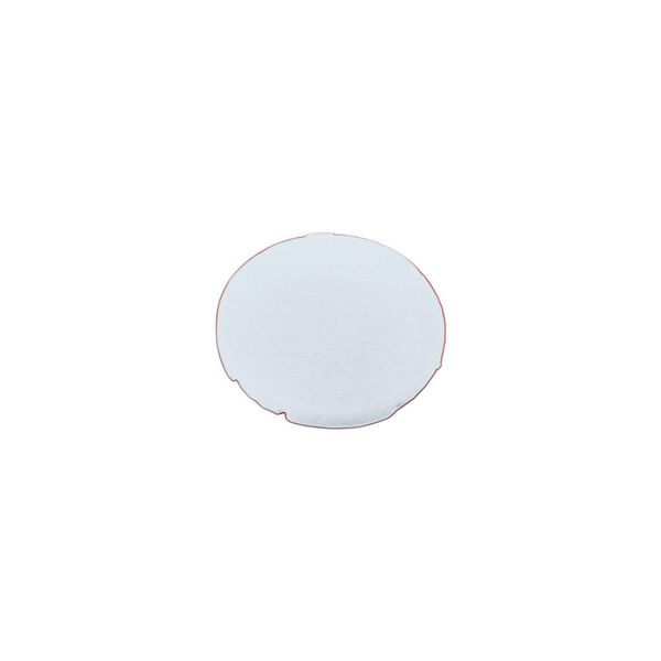 M22-XD-W Button plate, flat white, blank image 4