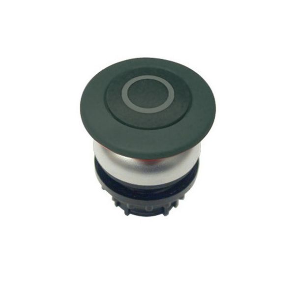 M22-DP-S-X0 Mushroom actuator, RMQ-Titan, Mushroom, momentary, Mushroom black, black, inscribed, Bezel: titanium image 4