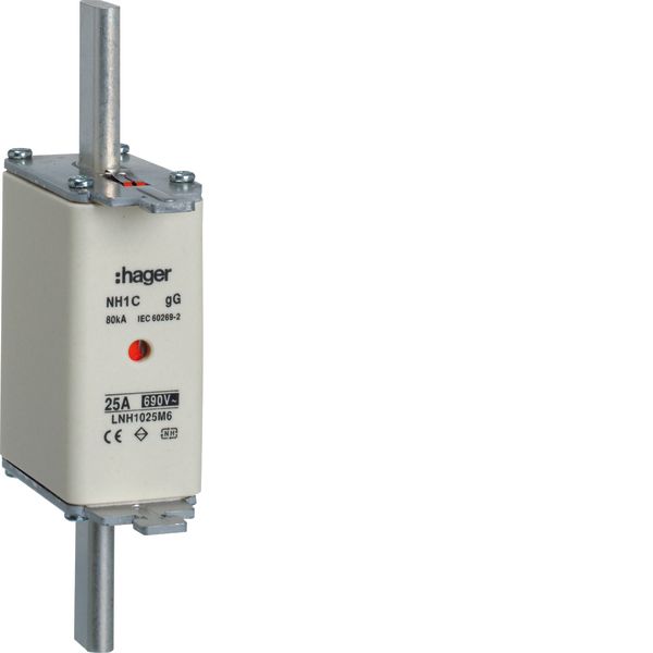 NH fuse NH1 gG 690V 25A with twin indicator and live gripping lug image 1