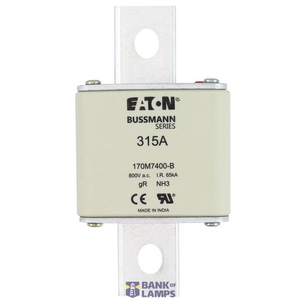 FUSE 315A 800V AC gR SIZE3 BOLTED TAG DI image 7