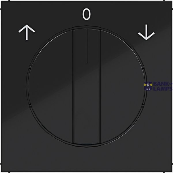 Central plate for rotary blind switch, A.x/C.x, night black glass. image 1