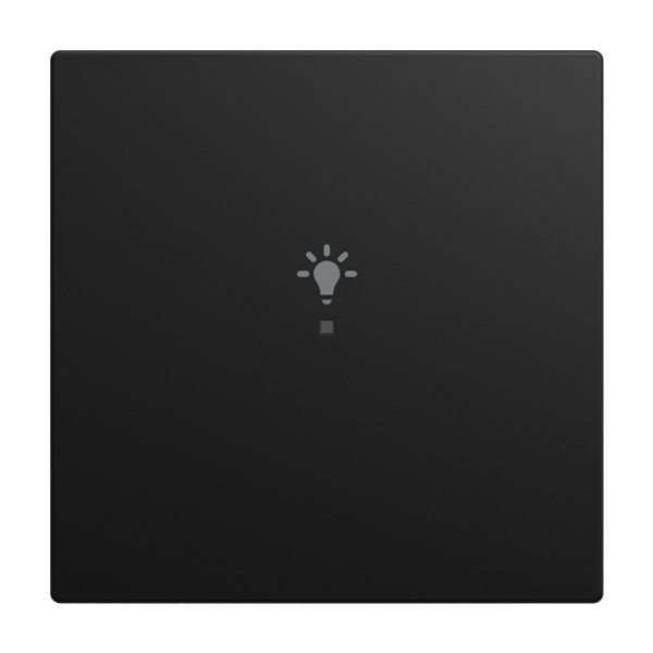Rocker switch 1-way, with symbol "Light" Busch-balance® SI image 1