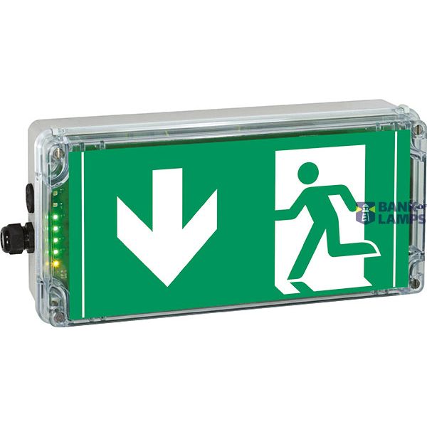 Ex-escape sign luminaires EXIT N with integrated emergency light function for zone 1/21, Pictogram: DIN ISO 7010, Arrow: 6 Clock image 2