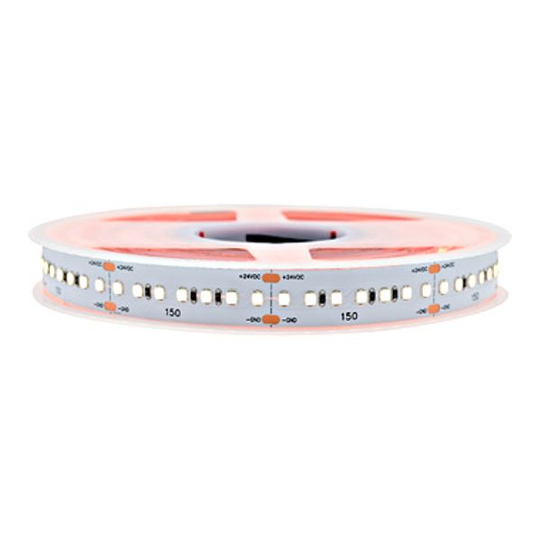LED Flexstrip 150  Cold White - IP20 / CRI/RA 90+ image 1