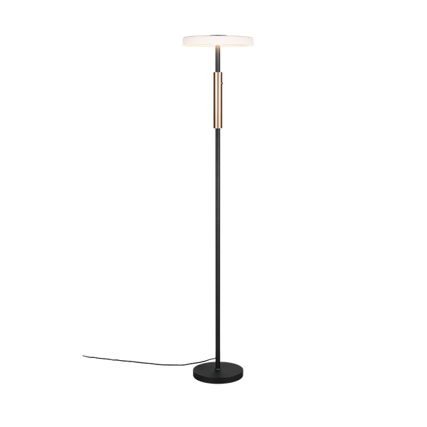Celeste LED floor lamp matt black/white/coffee brown image 1
