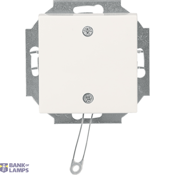 Pull Switch SI-B-alpine white image 2