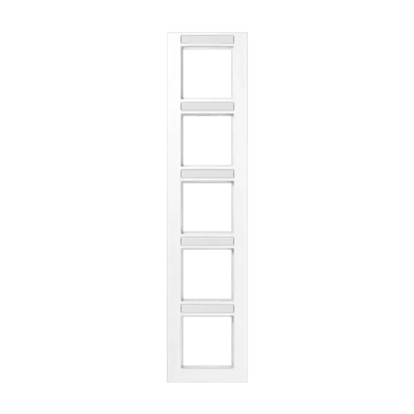 Frame 5-gang image 1