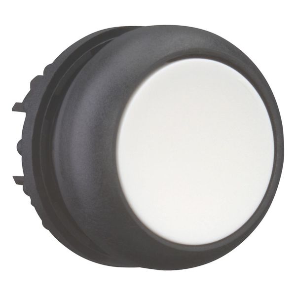 M22S-D-W Pushbutton, RMQ-Titan, Flat, momentary, White, Blank, Bezel: black image 13