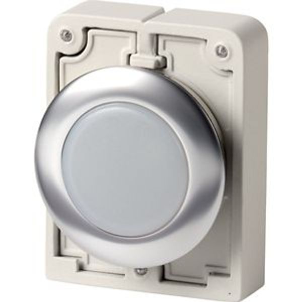 M30I-FL-W Indicator light, RMQ-Titan, flat, white, Front ring stainless steel image 2