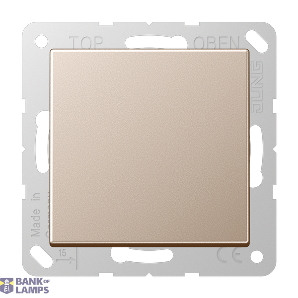 SCHUKO socket, 16 A 250 V ~, without claws, integrated increased contact protection, SAFETY+, hinged cover, Series A, champagne image 1