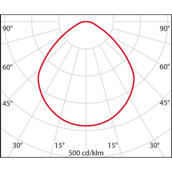 MANGO+MIDI 10/13 C/EW 830 WIT+NOOD1H image 6