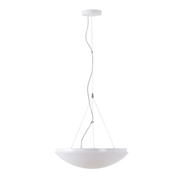 LED-2L43C10ZT11/PC09/L100/NK1W 4000 image 1