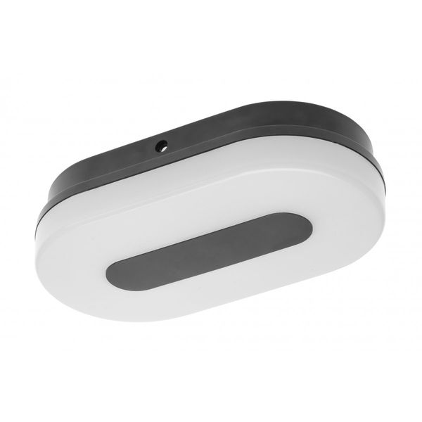 LED luminaire TWIST, 10 W, 750 lm, 4000K, AC175-250V, Ra>80, IP65, IK08, 120°, oval image 1