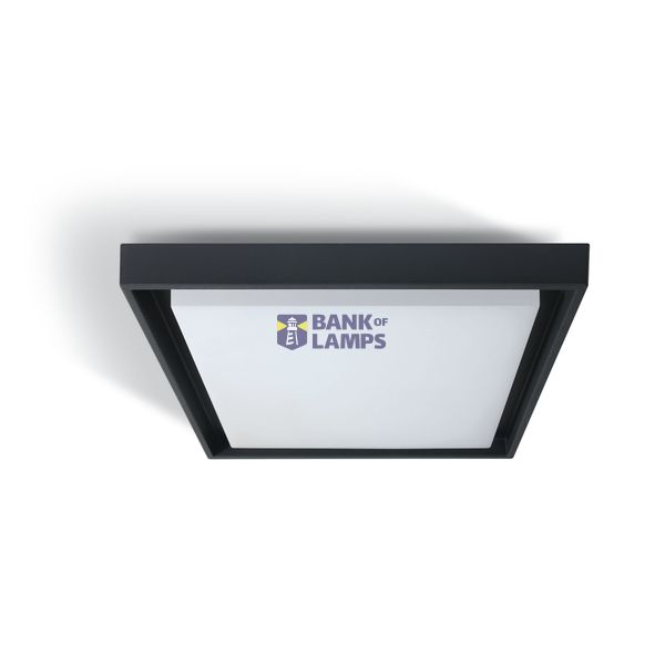 ANTHRACITE PLAFO LED 30W WW IP54 230V image 1