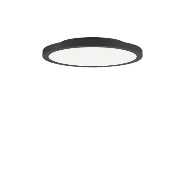 FL R+ 333 SM 8/23 S/B 840 BK9005 DALI OP image 1