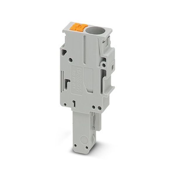 PP-H 6/ 1-L - Plug image 3