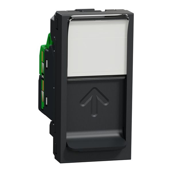 Rama Studio Metal 7m bronz/alb image 1