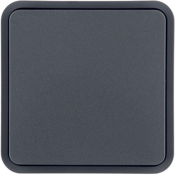 Rocker 1gang for W.1 push-button BCU, grey image 3