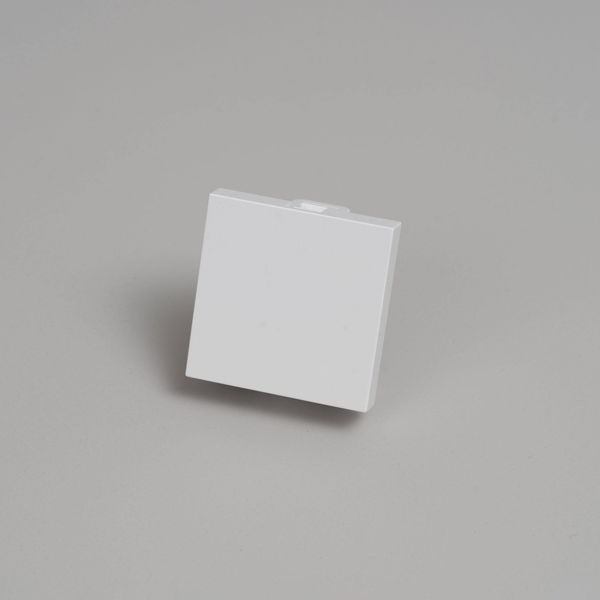BLANK MODULE / 45 MM / WHITE image 1