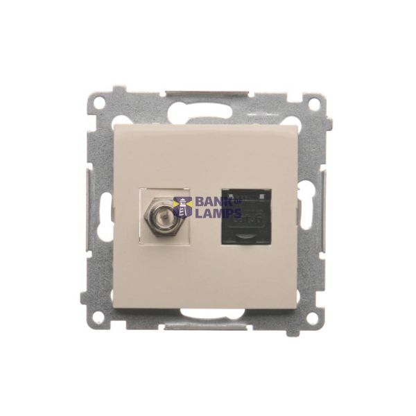 Aerial socket type "F" + computer socket RJ45 cat.6, cream white/electro white image 1