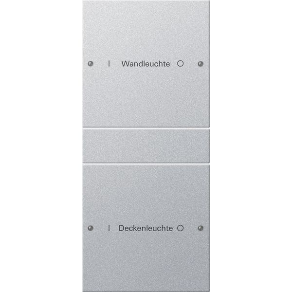 rocker set 2-g (1+1) inscr. System 55 c.alum.(lac.) image 1