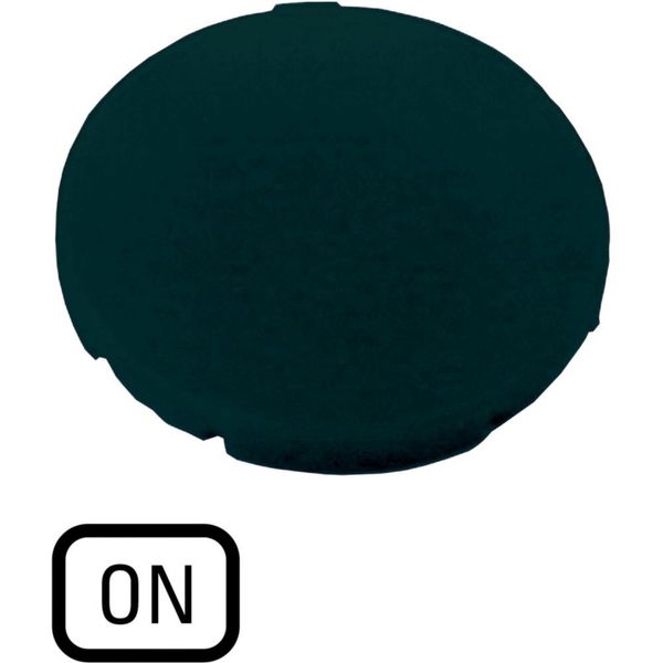 M22-XD-S-GB6 Button plate, flat black, ON image 3